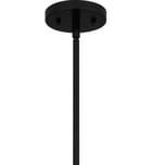 Quoizel - Peregrine 14" Pendant by Quoizel - Image 4
