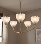 Quoizel - WHP5028BRG - Whitecap 28-inch Chandelier by Quoizel - Image 3