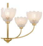 Quoizel - WHP5028BRG - Whitecap 28-inch Chandelier by Quoizel - Image 8