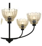 Quoizel - WHP5028MC - Whitecap 28-inch Chandelier by Quoizel - Image 8