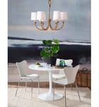 Regina Andrew - 16-1272 - Regina Andrew Bimini 36" Chandelier by Regina Andrew - Image 5