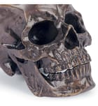 Regina Andrew - Metal Skull by Regina Andrew - Image 4