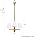 Hunter - Nolita 22" Chandelier by Hunter - Image 3