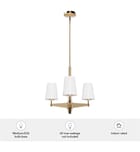 Hunter - Nolita 22" Chandelier by Hunter - Image 7