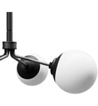 Hunter - Hepburn 30" Chandelier by Hunter - Image 7