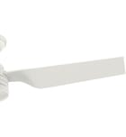 Hunter - Cabo Frio Ceiling Fan by Hunter - Image 3