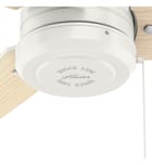 Hunter - Cassius Ceiling Fan by Hunter - Image 3