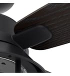 Hunter - Port Royale Ceiling Fan by Hunter - Image 7