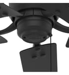 Hunter - Windbound Ceiling Fan by Hunter - Image 2