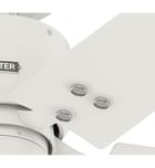 Hunter - Windbound Ceiling Fan by Hunter - Image 3