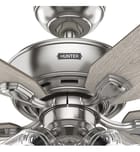 Hunter - Rosner Ceiling Fan by Hunter - Image 6