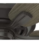 Hunter - Dondra Ceiling Fan by Hunter - Image 2