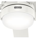 Hunter - Brazos 52" Ceiling Fan by Hunter - Image 14