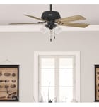 Hunter - Shady Grove Ceiling Fan by Hunter - Image 4