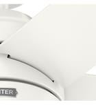 Hunter - Bardot Ceiling Fan by Hunter - Image 12