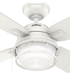 Hunter - Ocala Ceiling Fan by Hunter - Image 5