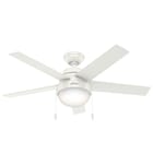 Hunter - Anslee Ceiling Fan by Hunter
