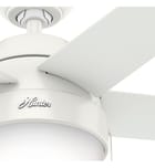 Hunter - Anslee Ceiling Fan by Hunter - Image 5