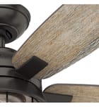 Hunter - Coral Bay Ceiling Fan by Hunter - Image 7