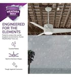 Hunter - Havoc Ceiling Fan by Hunter - Image 2