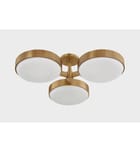 Troy Lighting - C1330-PBR - Rory 30" Semi-Flush Mount by Troy Lighting - Image 3