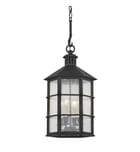 Troy Lighting - F2526-FRN - Lake County 25.75" Outdoor Pendant by Troy Lighting