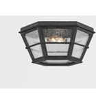 Troy Lighting - F2526-FRN - Lake County 25.75" Outdoor Pendant by Troy Lighting - Image 2