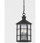 Troy Lighting - F2526-FRN - Lake County 25.75" Outdoor Pendant by Troy Lighting - Image 4