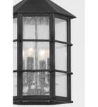 Troy Lighting - F2526-FRN - Lake County 25.75" Outdoor Pendant by Troy Lighting - Image 10