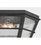 Troy Lighting - F2526-FRN - Lake County 25.75" Outdoor Pendant by Troy Lighting - Image 5