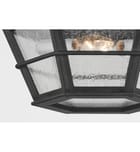Troy Lighting - F2526-FRN - Lake County 25.75" Outdoor Pendant by Troy Lighting - Image 12
