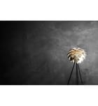 Umage - Silvia 53.5" Floor Lamp by Umage - Image 2