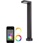 WAC Lighting - LED Colorscaping RGBWW Ledge Path and Area Light by WAC Lighting