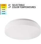 WAC Limited - FM-113-CS-WT - Blo 13" Flush Mount by WAC Limited