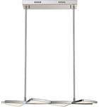 Z-Lite - 1003-4CH-LED - Aeon 28" Island Light by Z-Lite