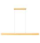 Z-Lite - 1016-55L-GLD-LED - Hudson 55-inch Linear Chandelier by Z-Lite - Image 2