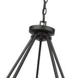 Z-Lite - Beau 46" Chandelier by Z-Lite - Image 6