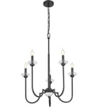 Z-Lite - 352-5MB - Allistair 24" Chandelier by Z-Lite - Image 5
