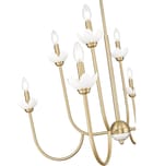 Z-Lite - 352-8MGLD - Allistair 36" Chandelier by Z-Lite - Image 3