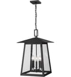 Z-Lite - 5015CHXL-BK - Rainer 15.5" Outdoor Pendant by Z-Lite