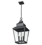 Z-Lite - 5029CHB-BK - Raphael 12-inch Outdoor Pendant by Z-Lite - Image 5