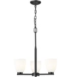Z-Lite - 7518-3MB - Naya 19.25" Chandelier by Z-Lite