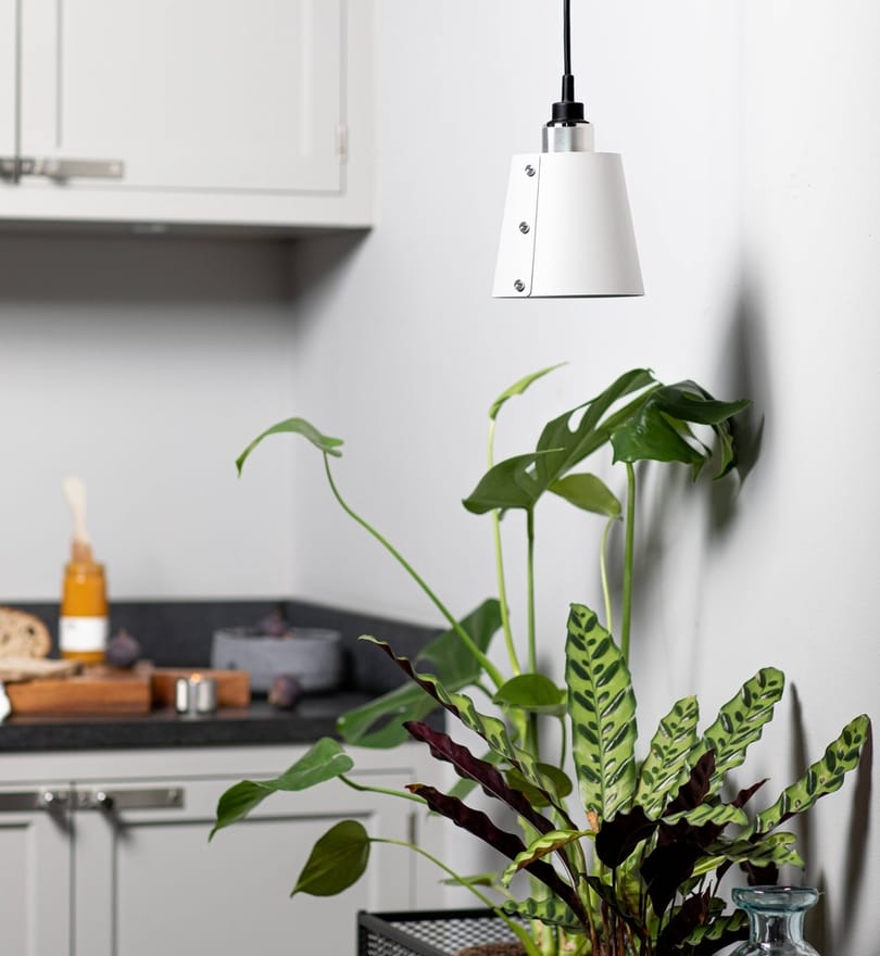 Buster & Punch - Hooked 5.5-inch Pendant by Buster & Punch - Image 2