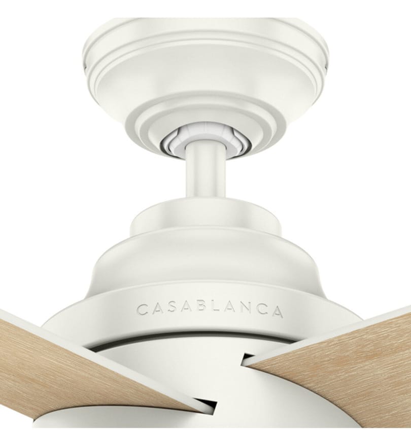 Casablanca Fan Company - Daphne Ceiling Fan by Casablanca Fan Company - Image 5