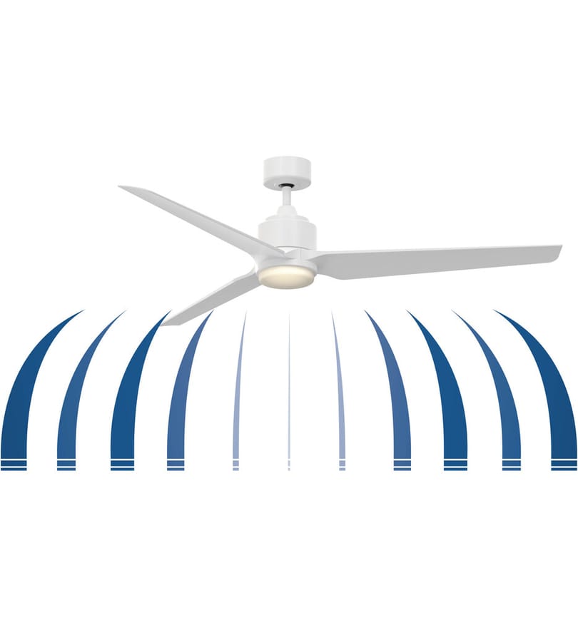 Fanimation - FPD8515DZW-64BLW-12LK - TriAire Custom 64" Ceiling Fan by Fanimation - Image 2