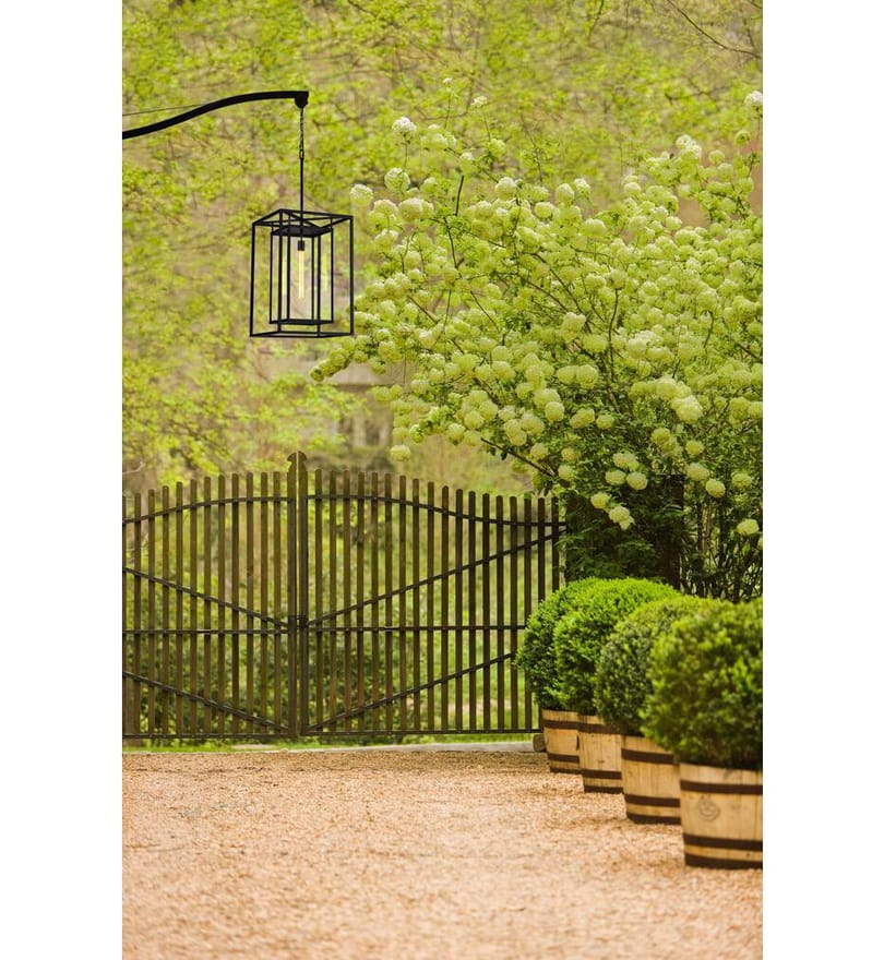 Hinkley Lighting - Max 16.5" Outdoor Pendant by Hinkley Lighting - Image 4