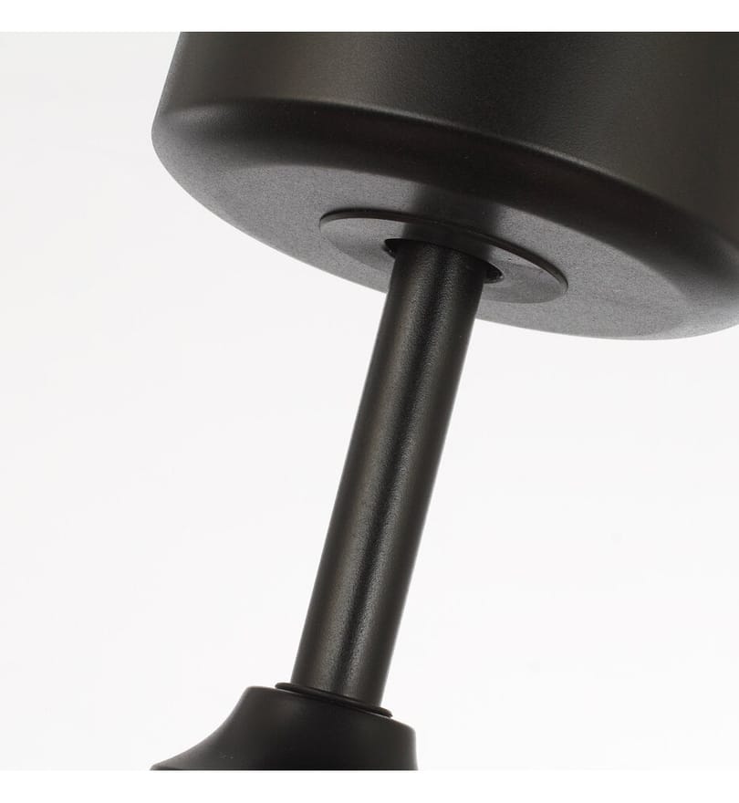 Maxim Lighting - 63001DWBK - Teton 28-Inch Fandelier by Maxim Lighting - Image 2