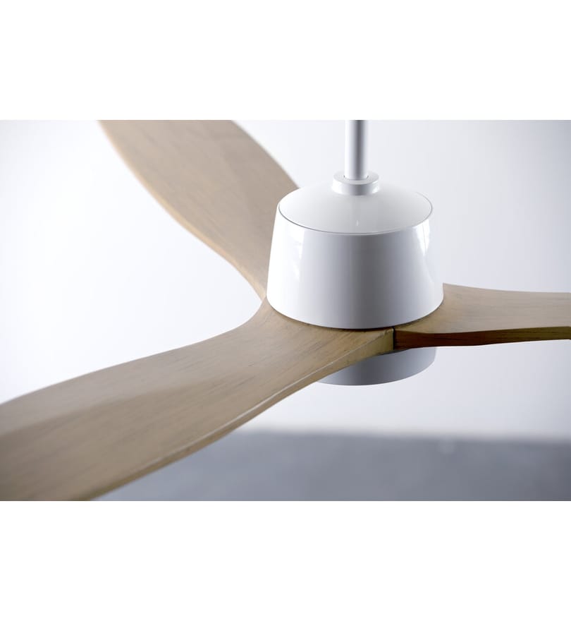 Modern Fan Company - Arbor 54" Ceiling Fan by Modern Fan Company - Image 4