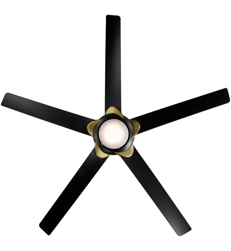 Modern Forms - Lucid Ceiling Fan by Modern Forms - Image 6