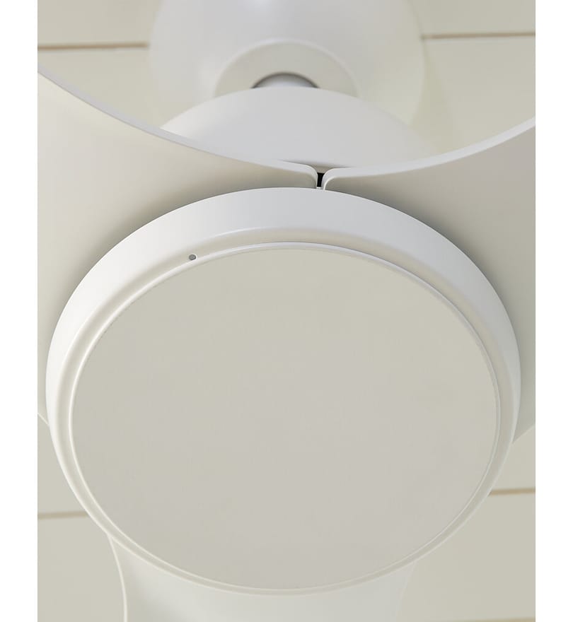 Visual Comfort Fan - Avila Ceiling Fan by Visual Comfort Fan - Image 2